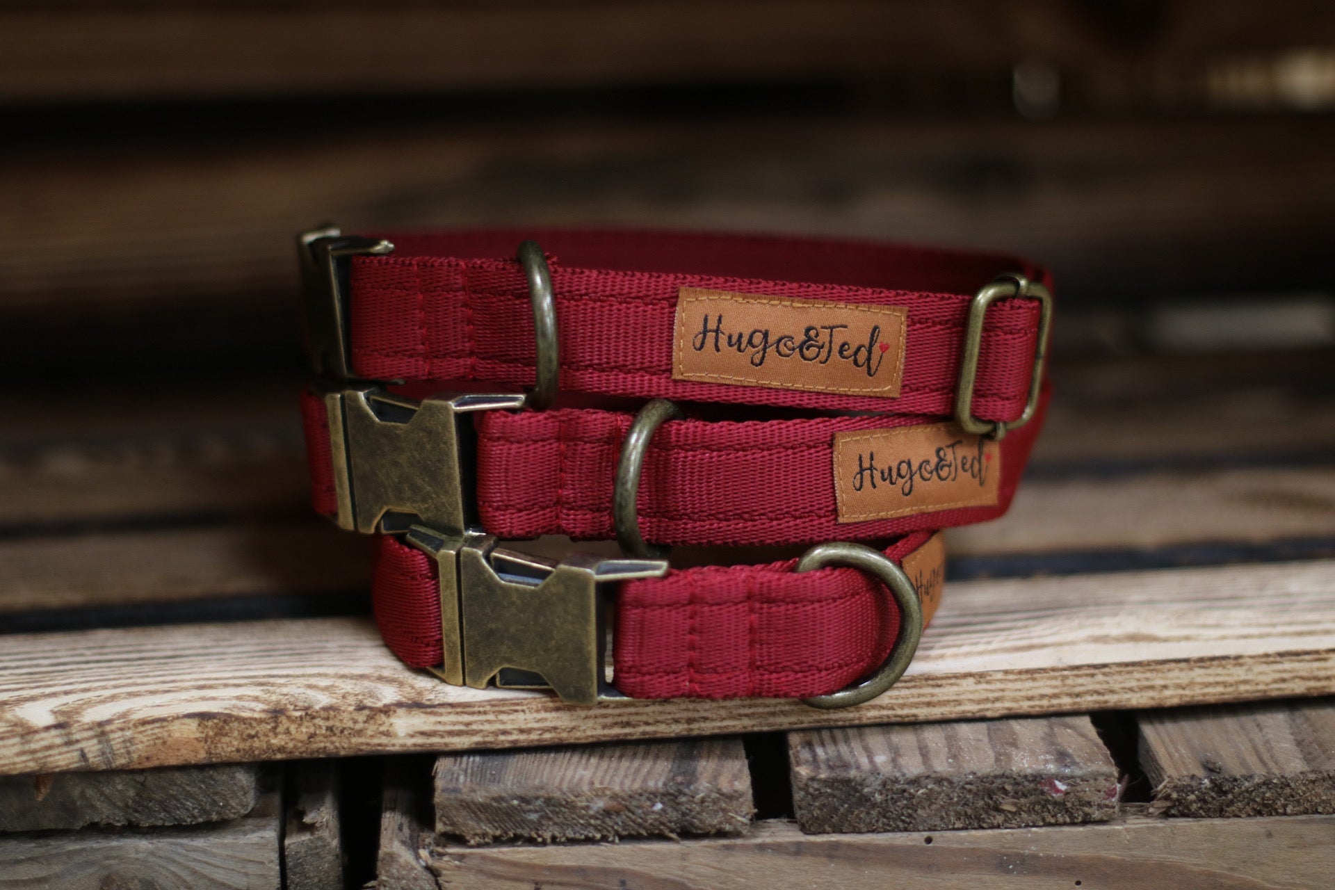 Collars & leads hotsell