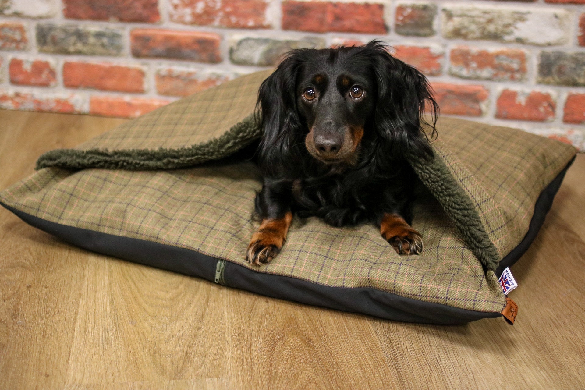 SUPER COMFY DOG BEDS AND SNUGGLE SACKS – Hugo and Ted