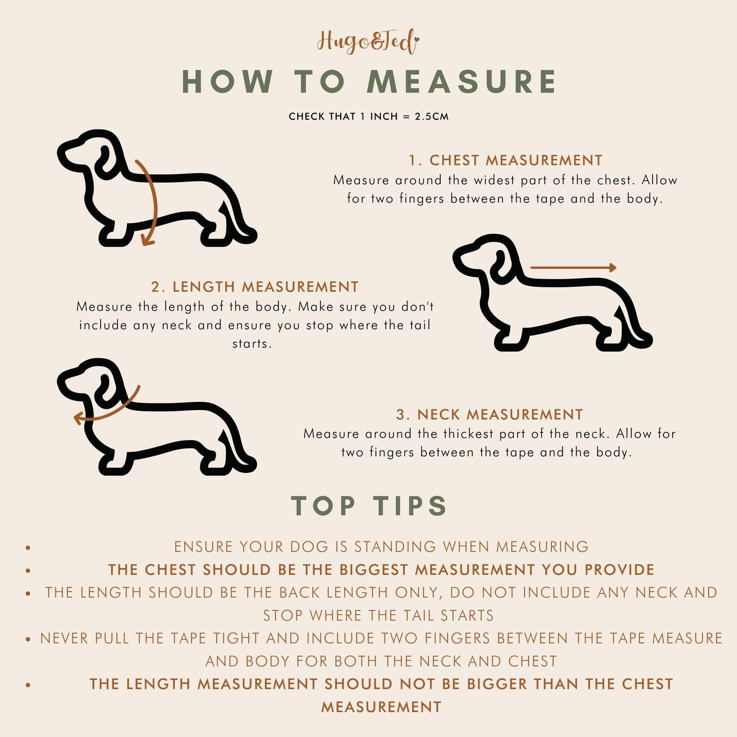 Hugo and Ted measurement guide for measuring your dog