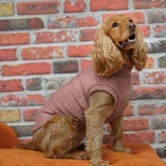 Autumn Bouclé Dog Jumpers - Hugo and Ted