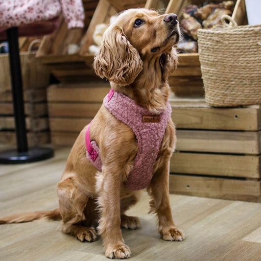 Autumn Bouclé Harnesses - Hugo and Ted