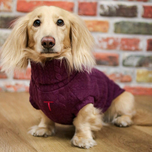 Cable Knit Dog Jumpers - Hugo and Ted