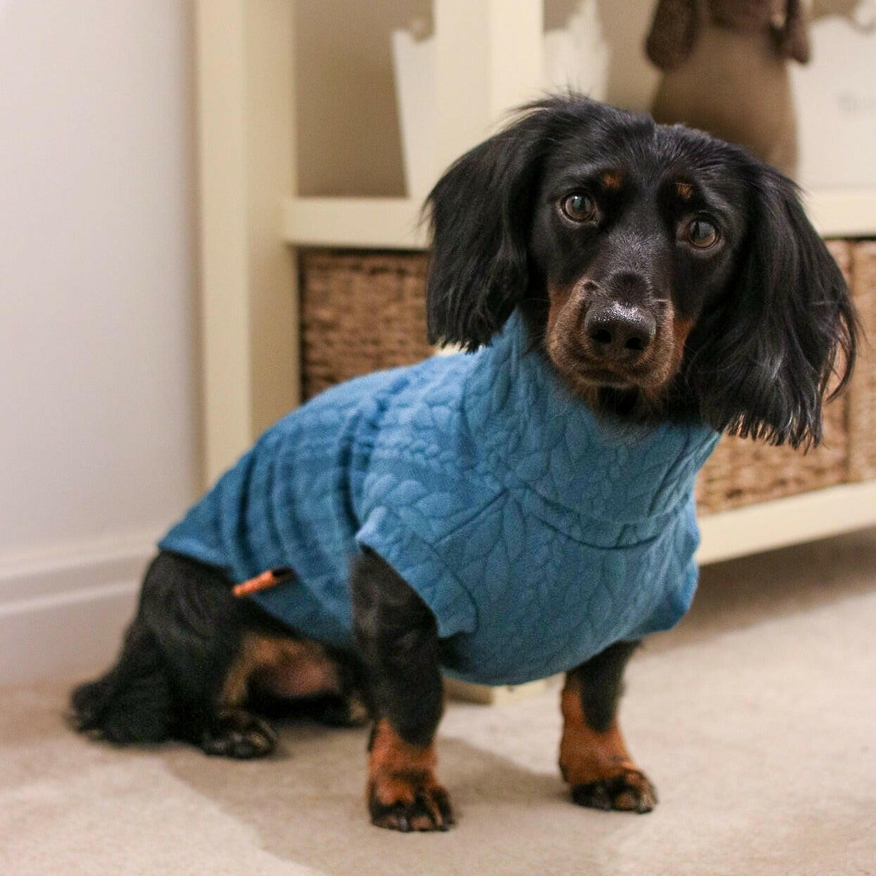 Cable Knit Dog Jumpers - Hugo and Ted