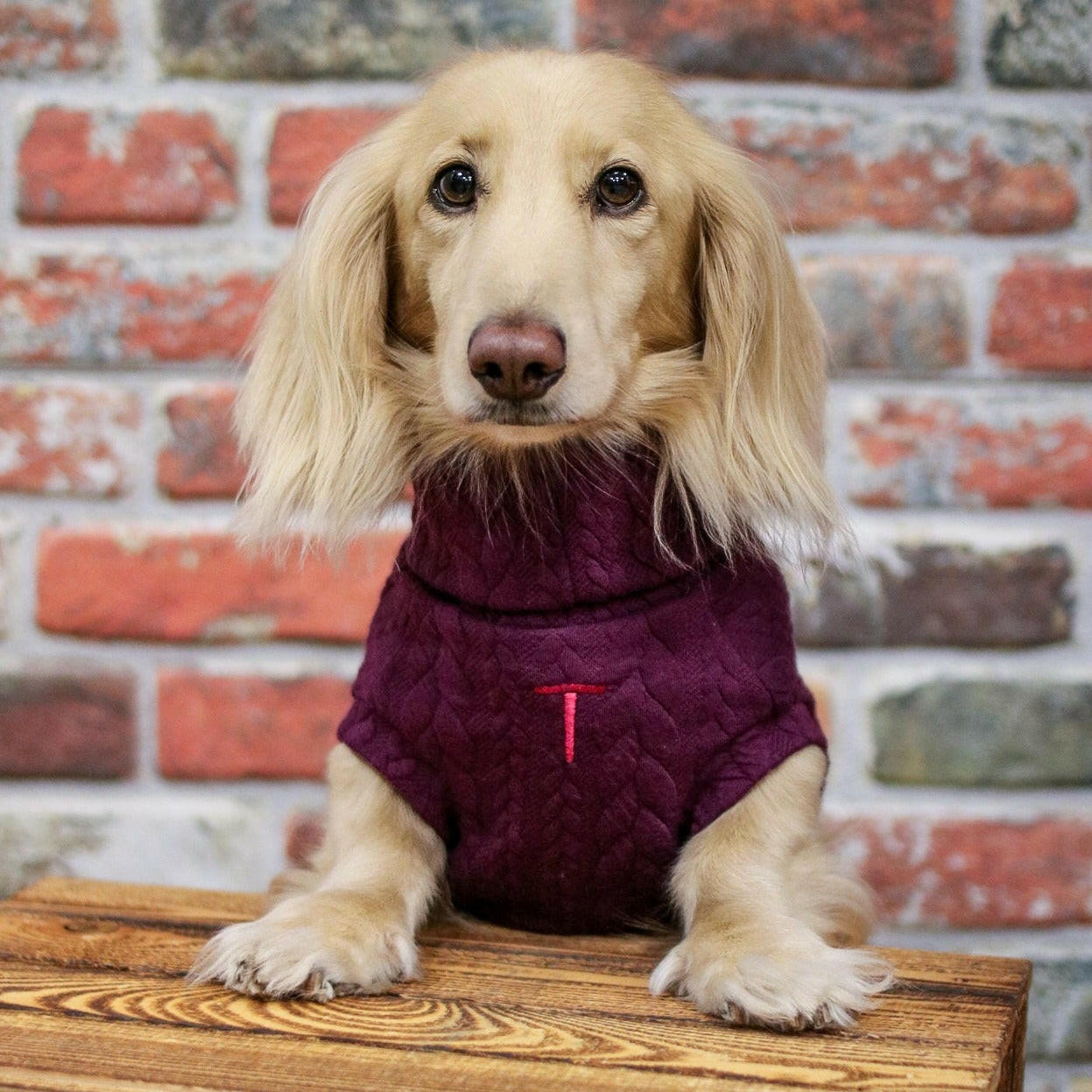 Cable Knit Dog Jumpers - Hugo and Ted