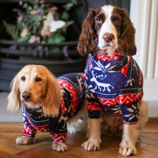 Christmas Fleece Snuggle Jumpers - Hugo and Ted