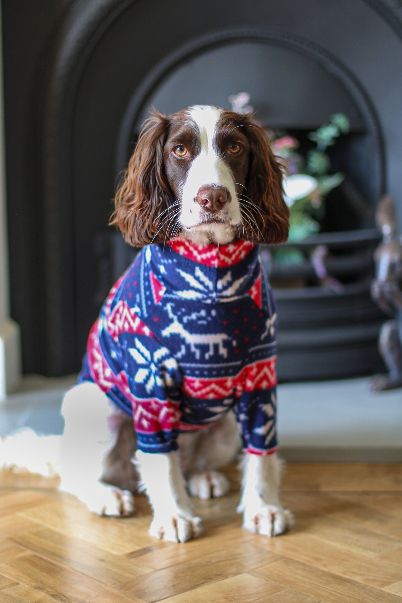 Christmas Fleece Snuggle Jumpers - Hugo and Ted