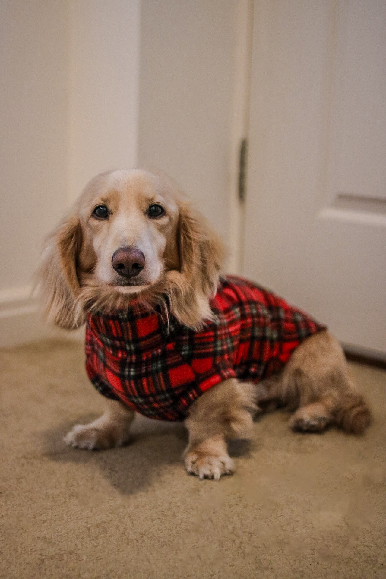 Christmas Fleece Snuggle Jumpers - Hugo and Ted