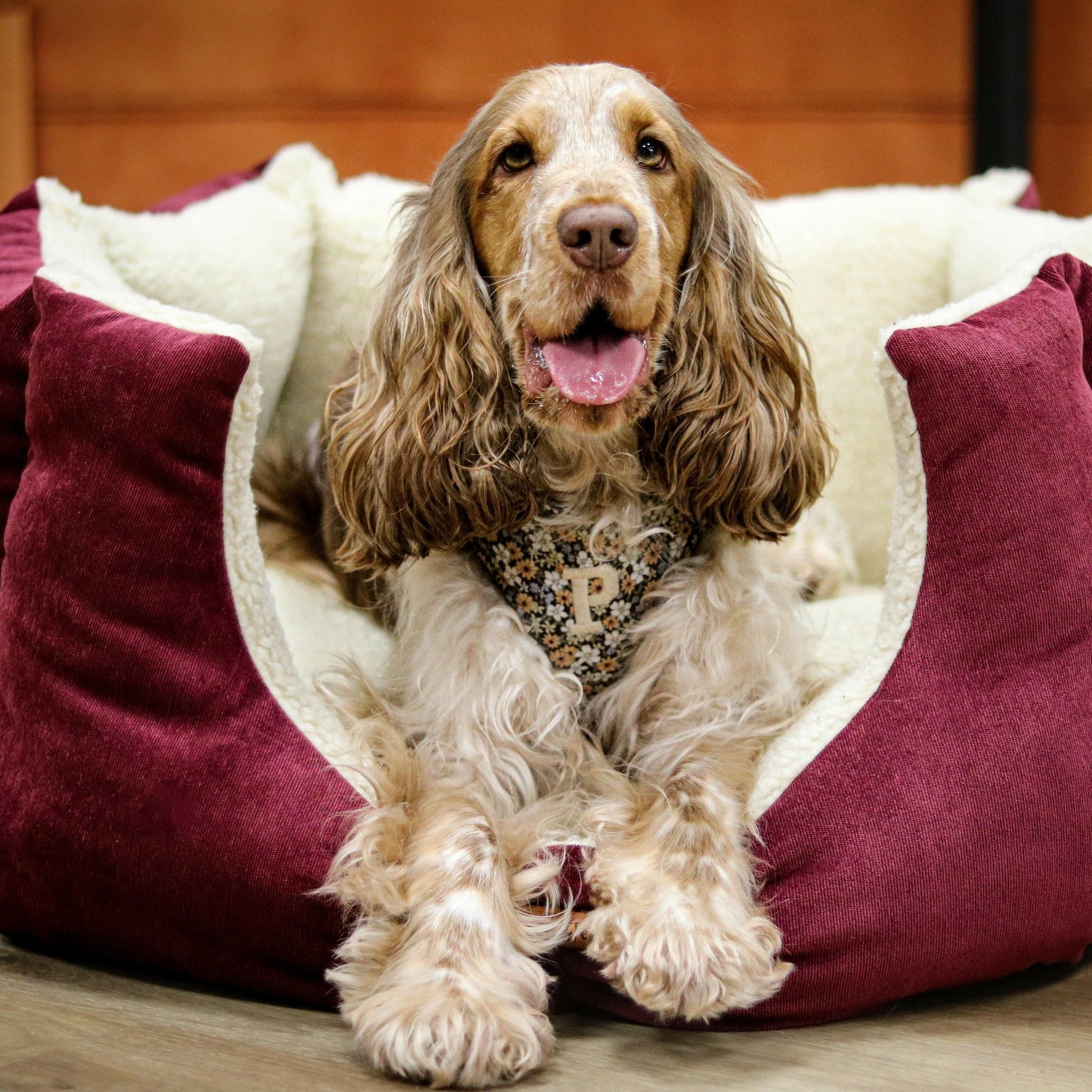 Corduroy Collection Fortress Beds - Hugo and Ted