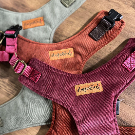Corduroy Collection Standard Harnesses - Hugo and Ted