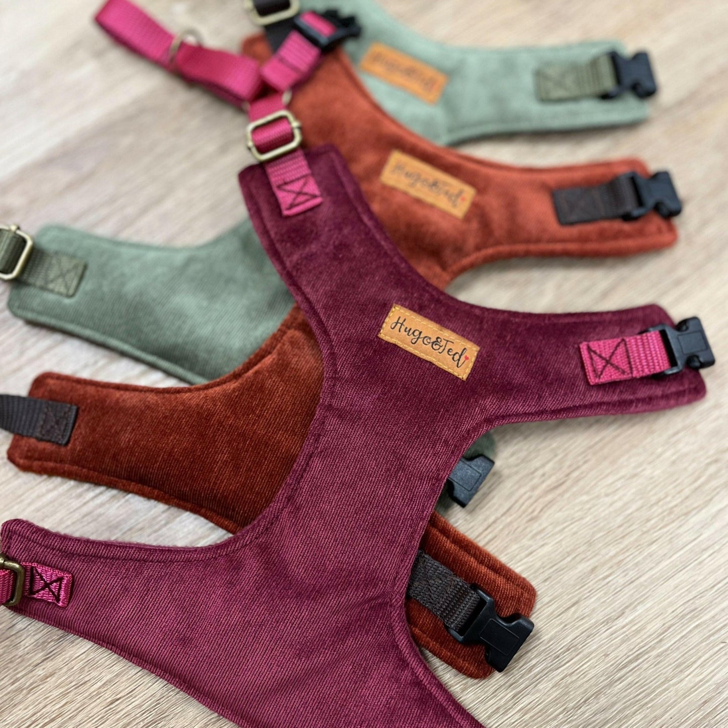 Corduroy Collection Standard Harnesses - Hugo and Ted