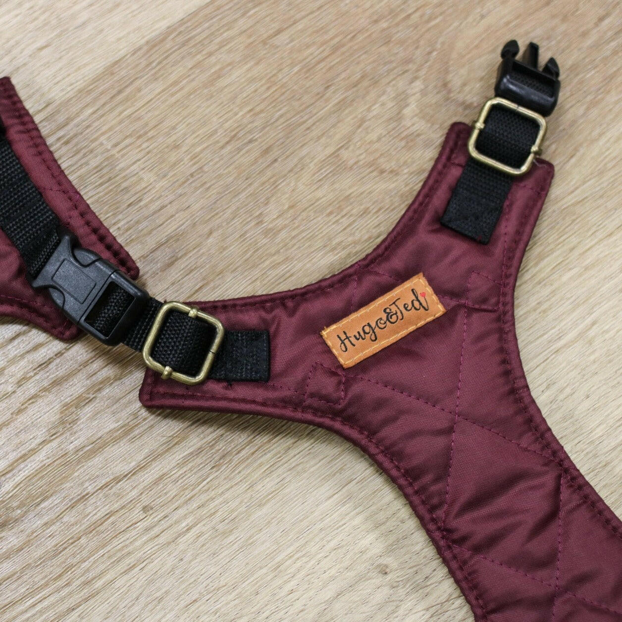Explorer Harnesses - Hugo and Ted