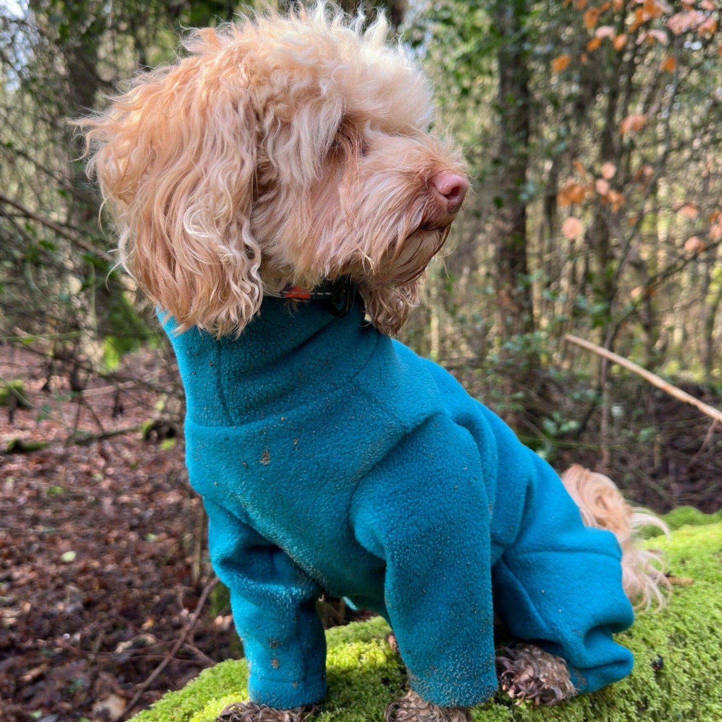 Fleece Onesies - Hugo and Ted