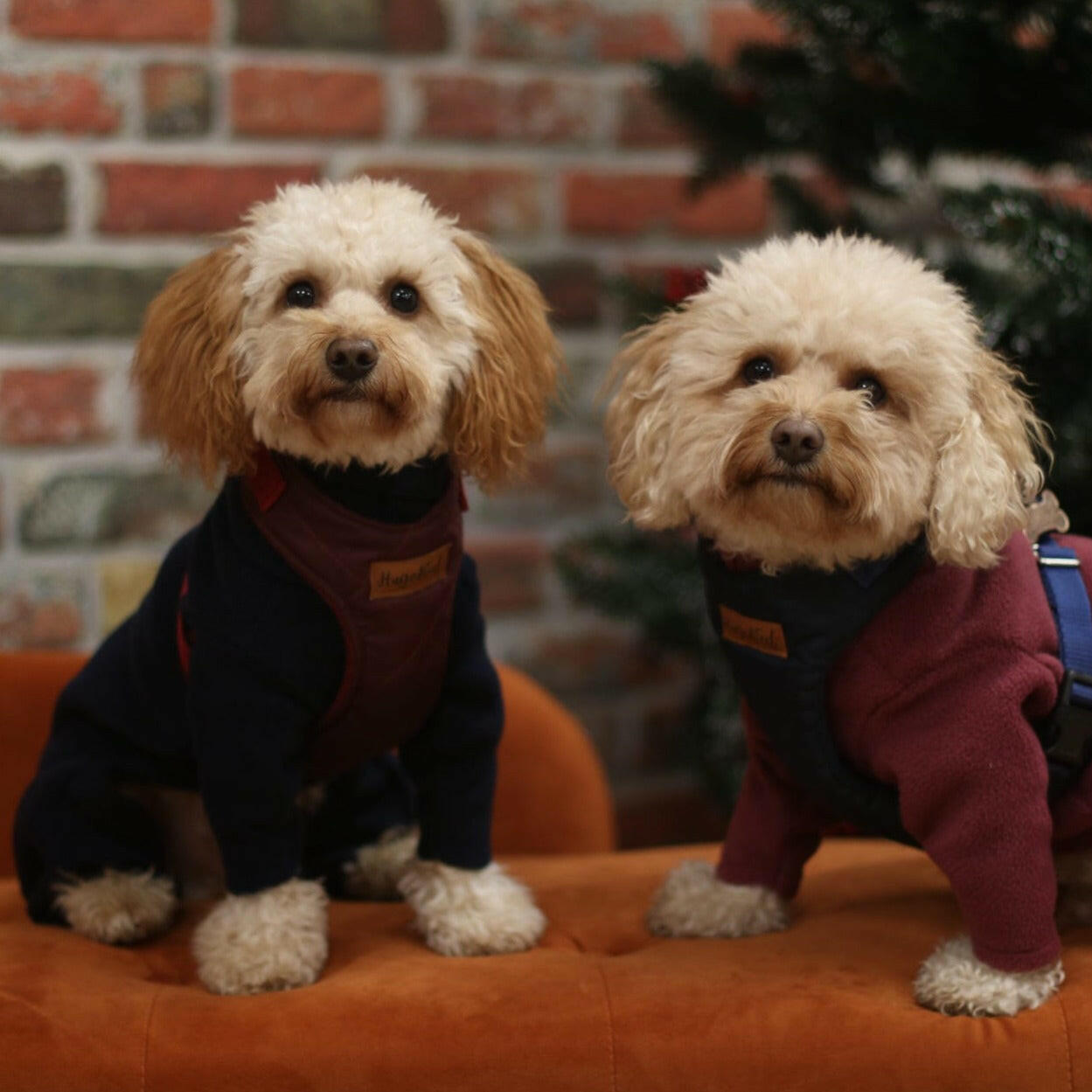 Fleece Onesies - Hugo and Ted