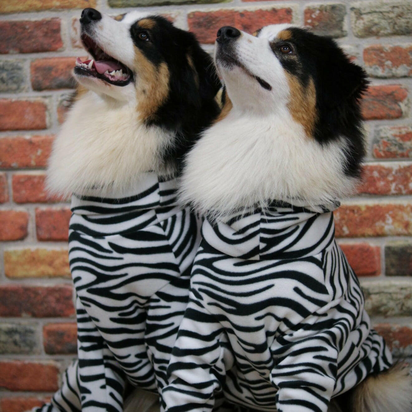 Fleece Onesies - Hugo and Ted