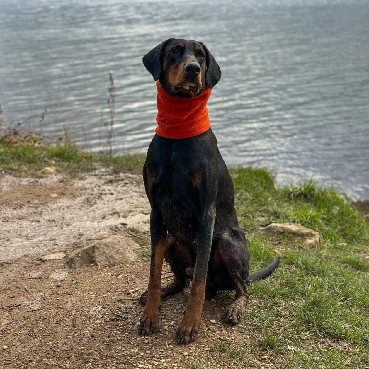 Fleece Snoods - Hugo and Ted