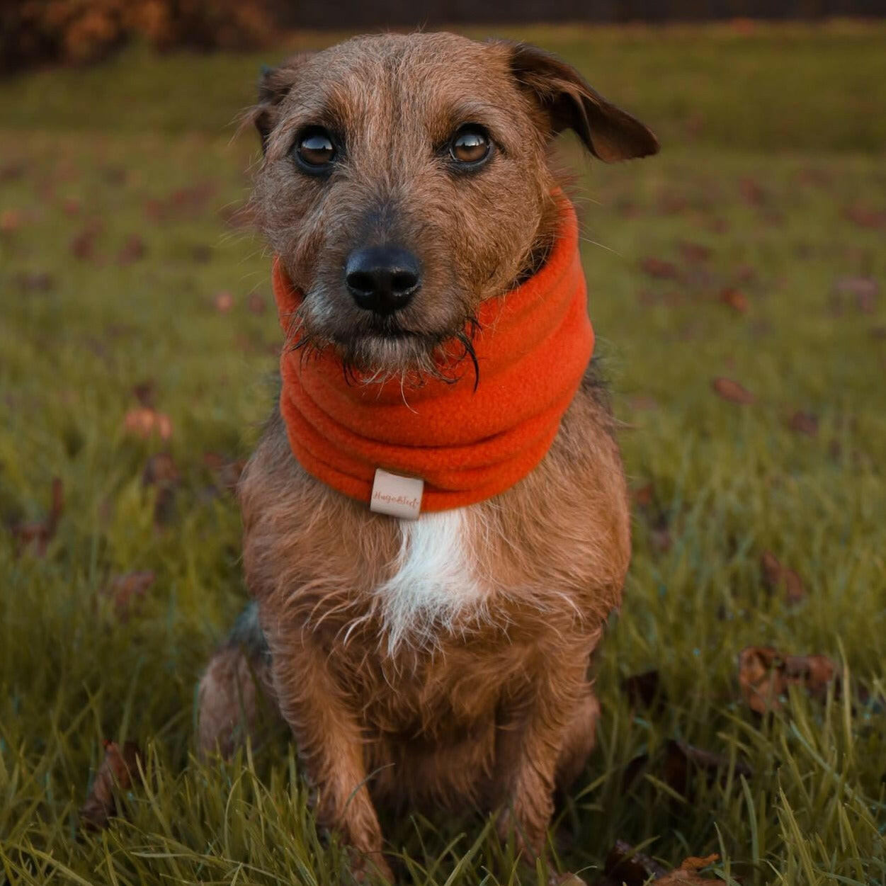 Fleece Snoods - Hugo and Ted