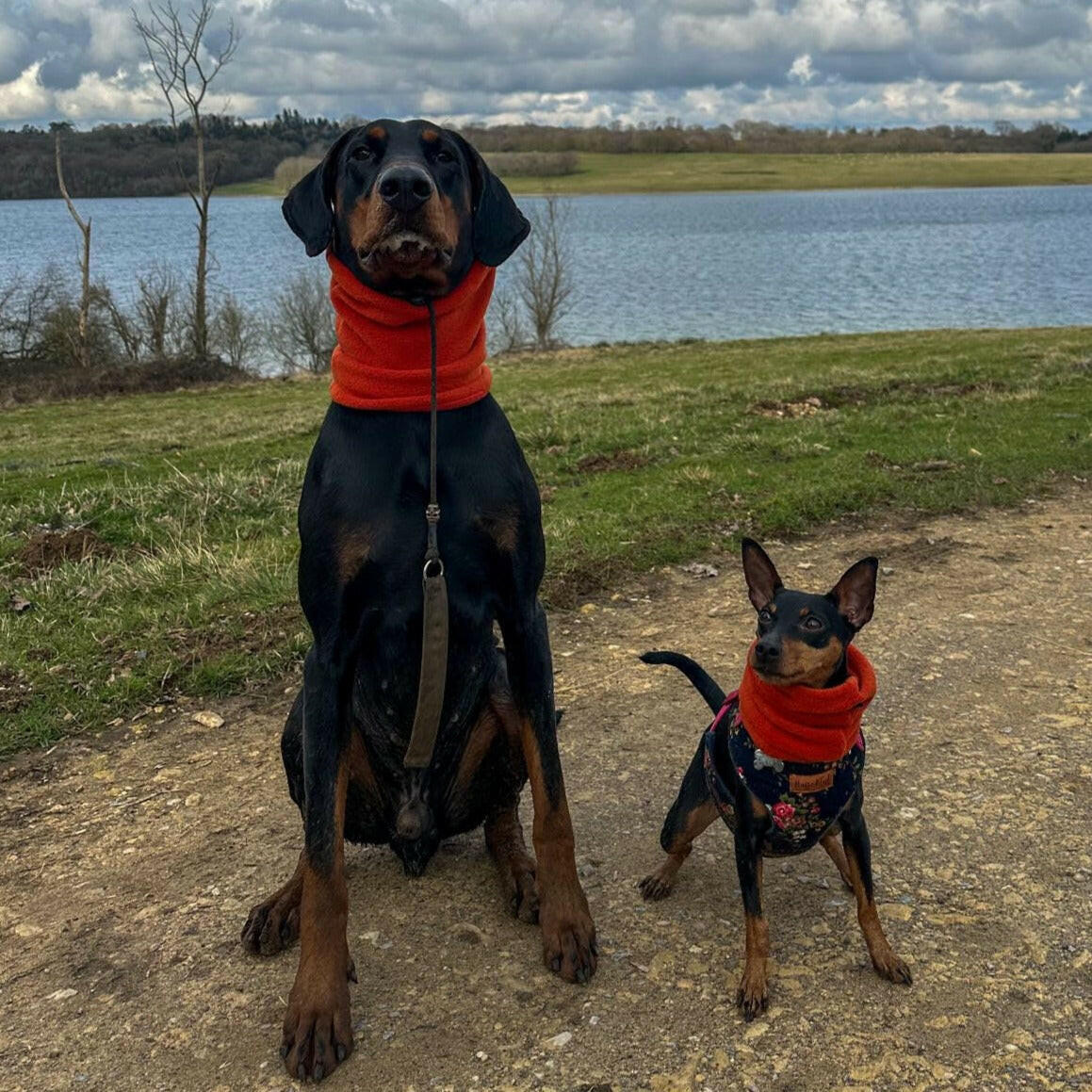 Fleece Snoods - Hugo and Ted