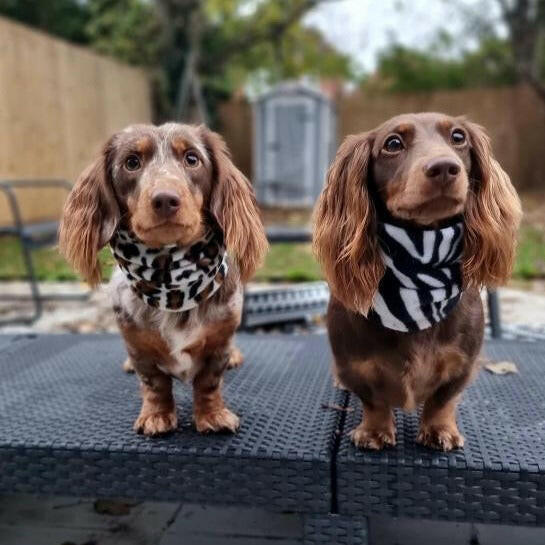 Fleece Snoods - Hugo and Ted