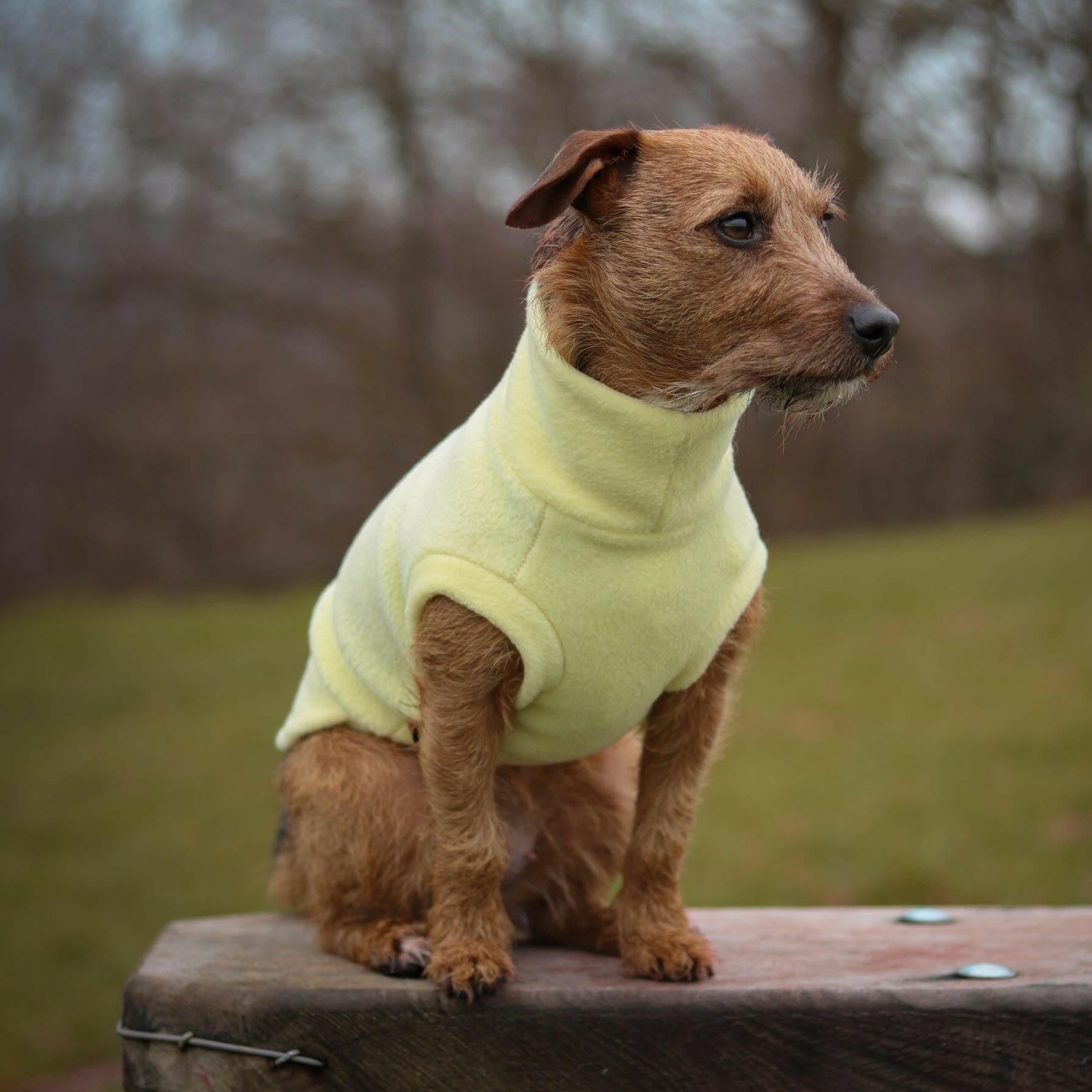 Fleece Snuggle Jumpers - Hugo and Ted