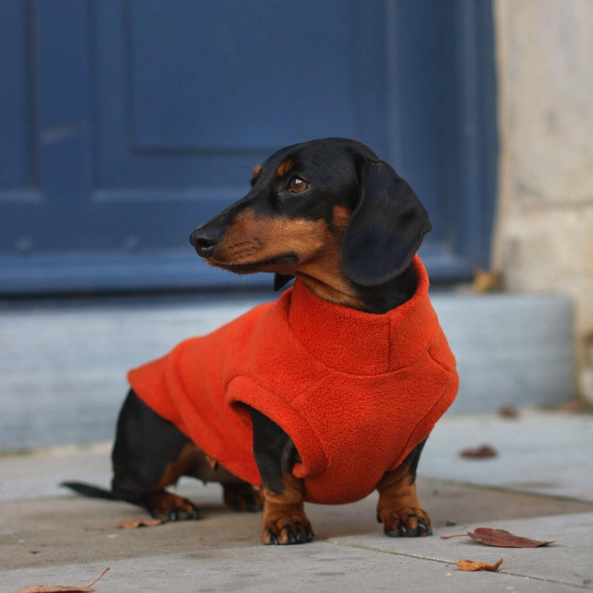 Fleece Snuggle Jumpers - Hugo and Ted