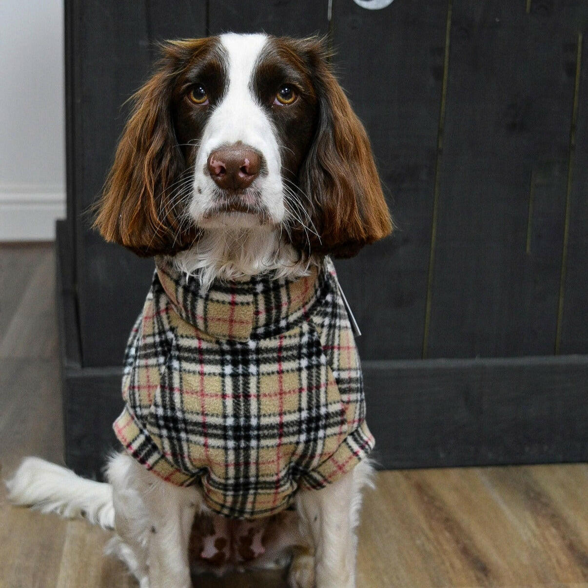 Fleece Snuggle Jumpers - Hugo and Ted