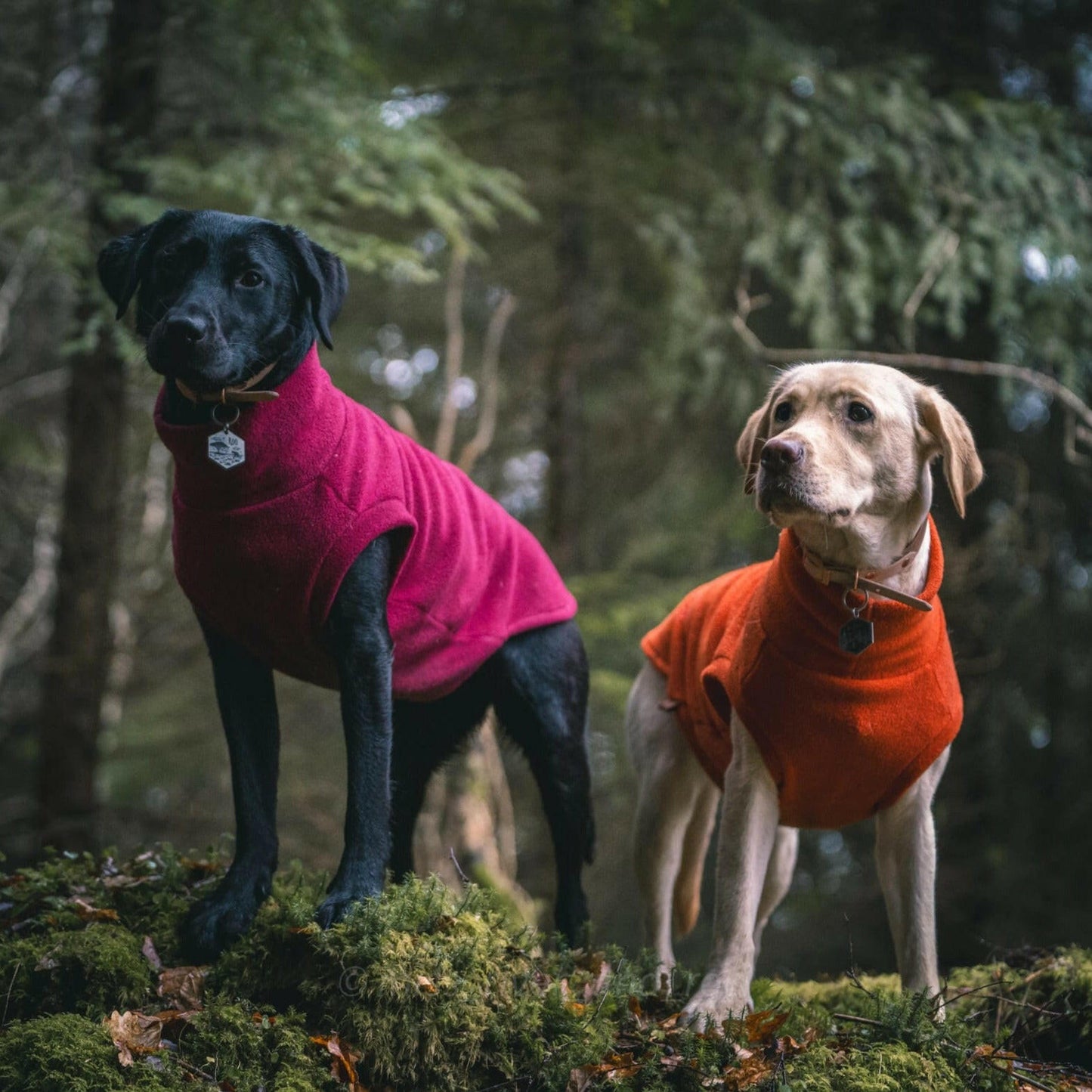 Fleece Snuggle Jumpers - Hugo and Ted
