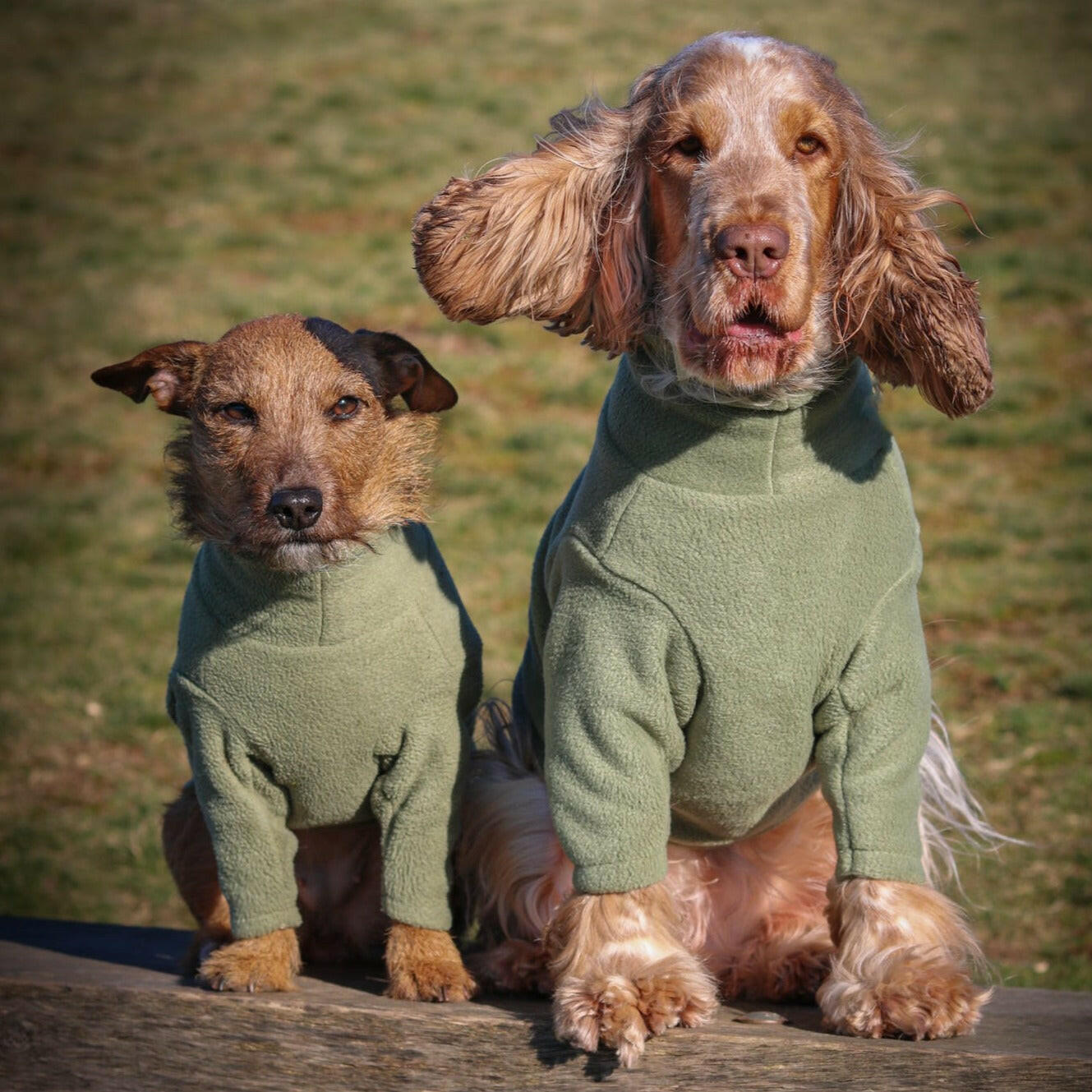 MADE TO MEASURE DOG FLEECES AND JUMPERS Hugo and Ted