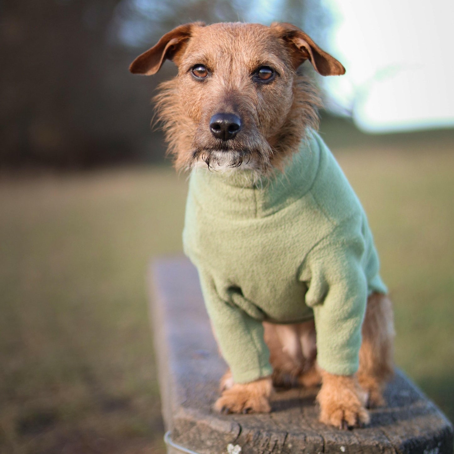 Front Leg Fleece Snuggle Jumpers - Hugo and Ted
