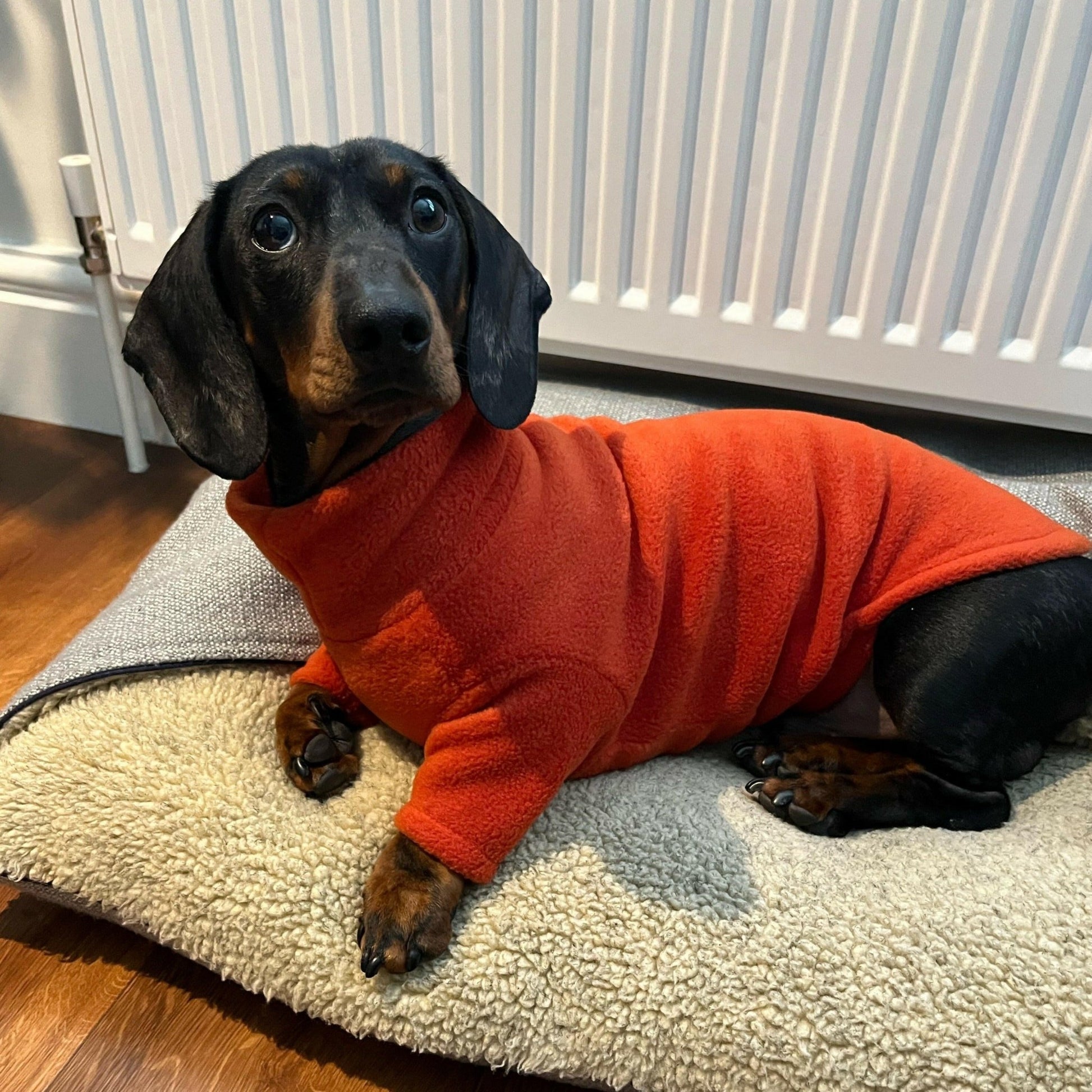 Front Leg Fleece Snuggle Jumpers - Hugo and Ted