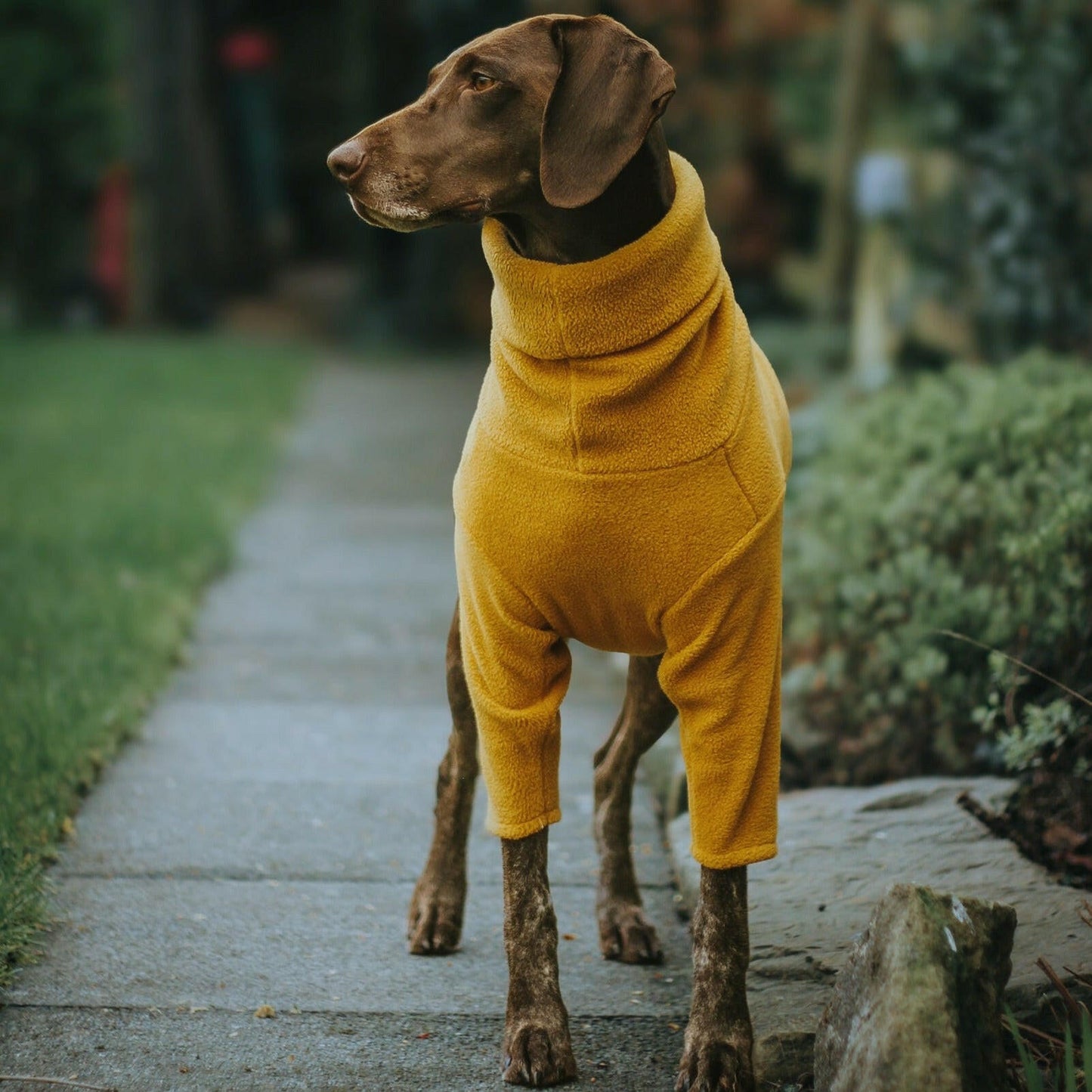 Front Leg Fleece Snuggle Jumpers - Hugo and Ted