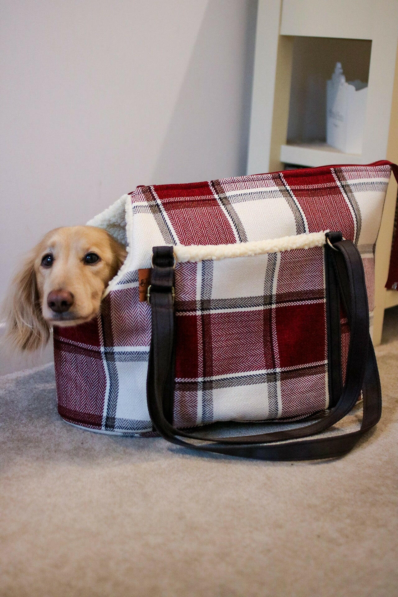 Heritage Collection Dog Carry Bags - Hugo and Ted