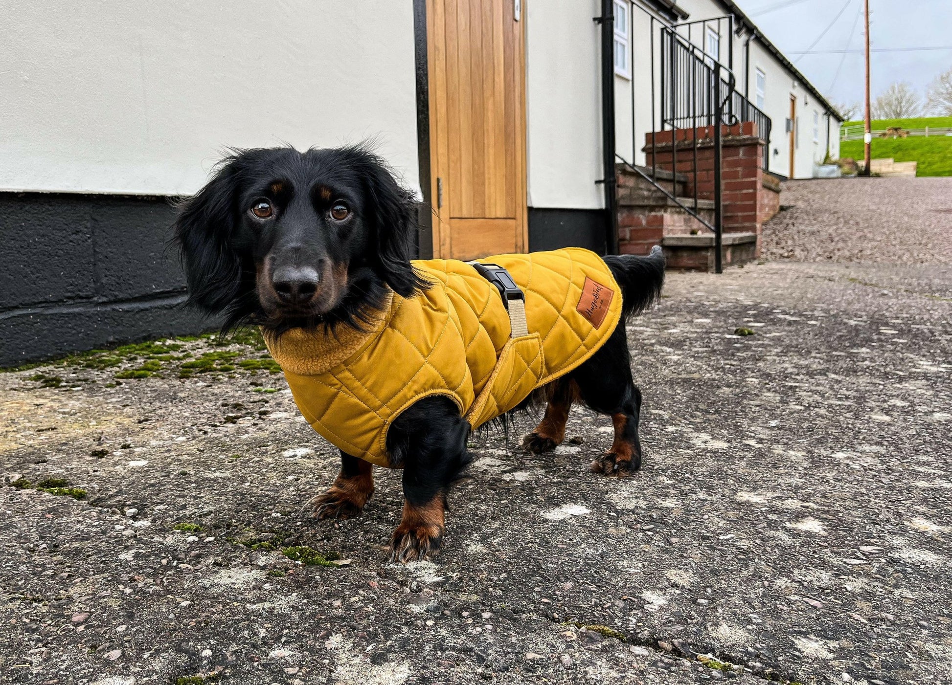 Hooman Quilted Gilets - Hugo and Ted