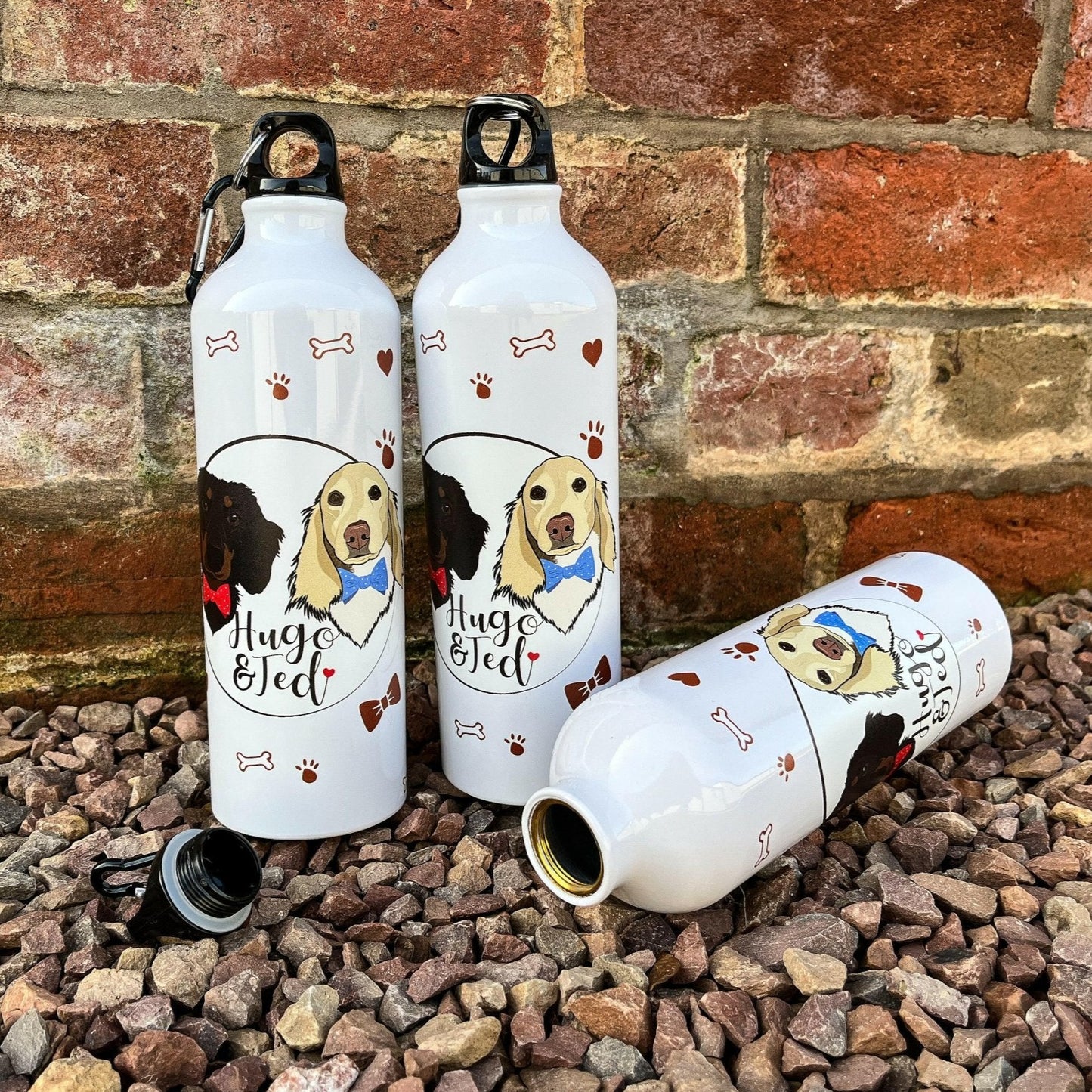 Hugo and Ted Dog Water Bottle - Hugo and Ted