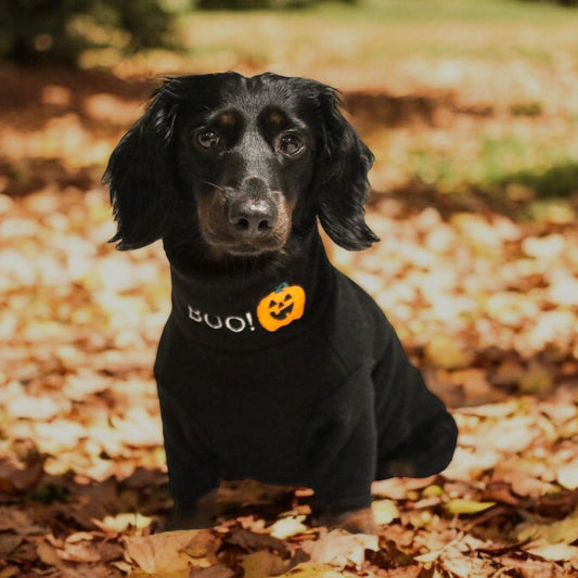 Limited Edition BOO! Halloween Jumpers - Hugo and Ted