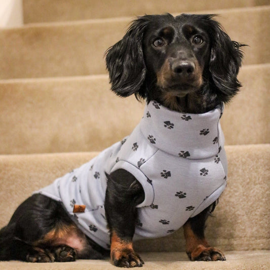 Limited Edition Pawprint Dog Sweatshirts - Hugo and Ted