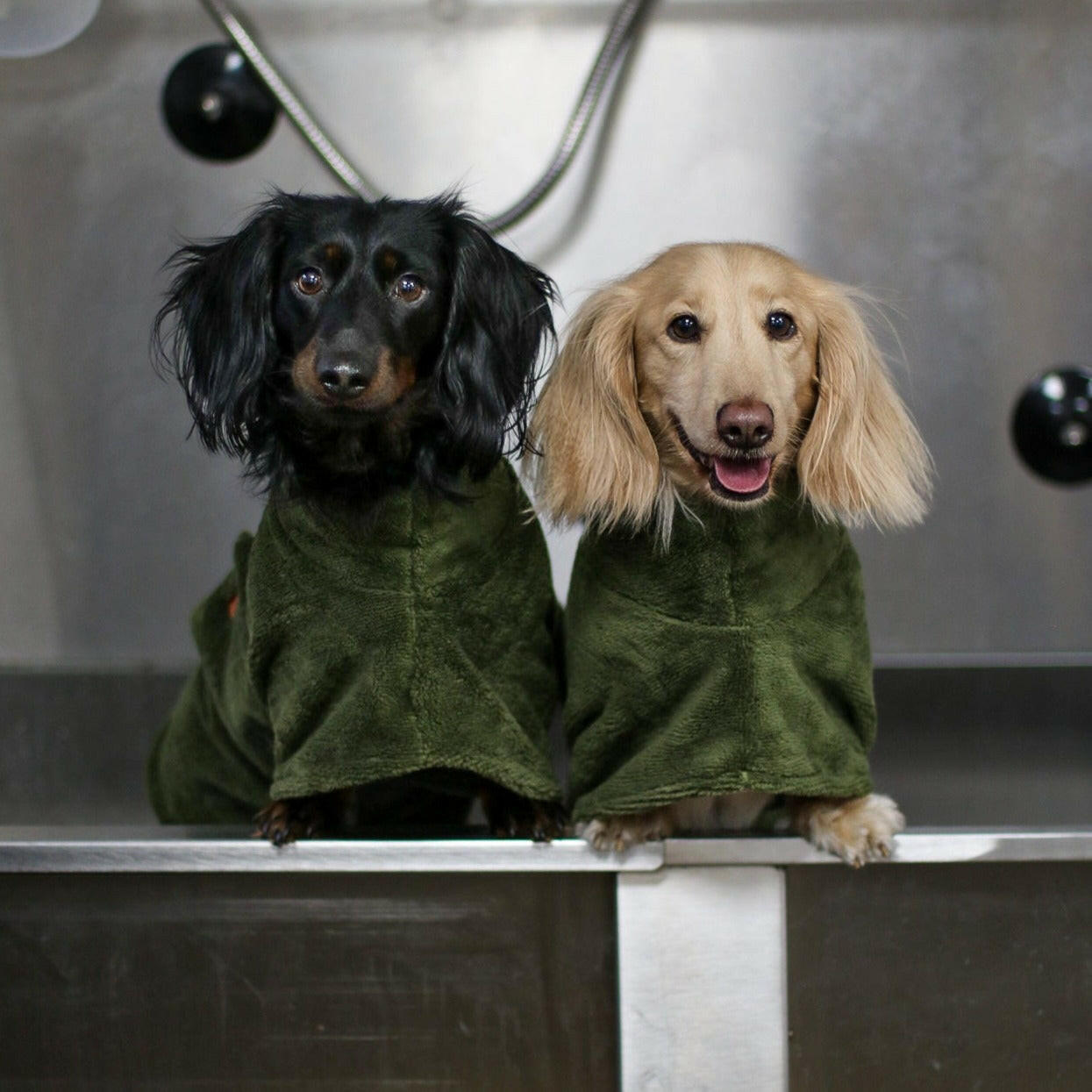 Luxury Bamboo Dog Drying Robe - Hugo and Ted