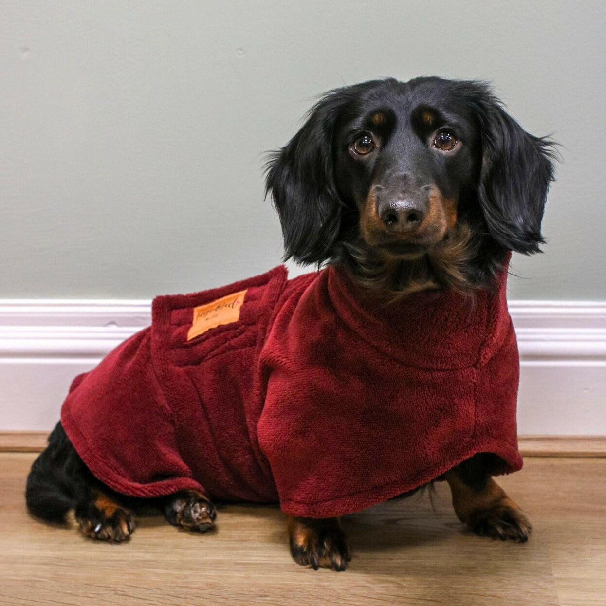 Luxury Bamboo Dog Drying Robe - Hugo and Ted