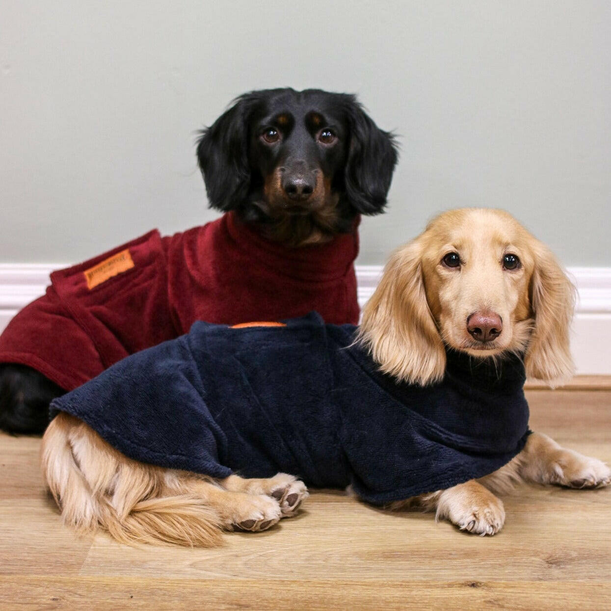 Drying robes for dogs best sale