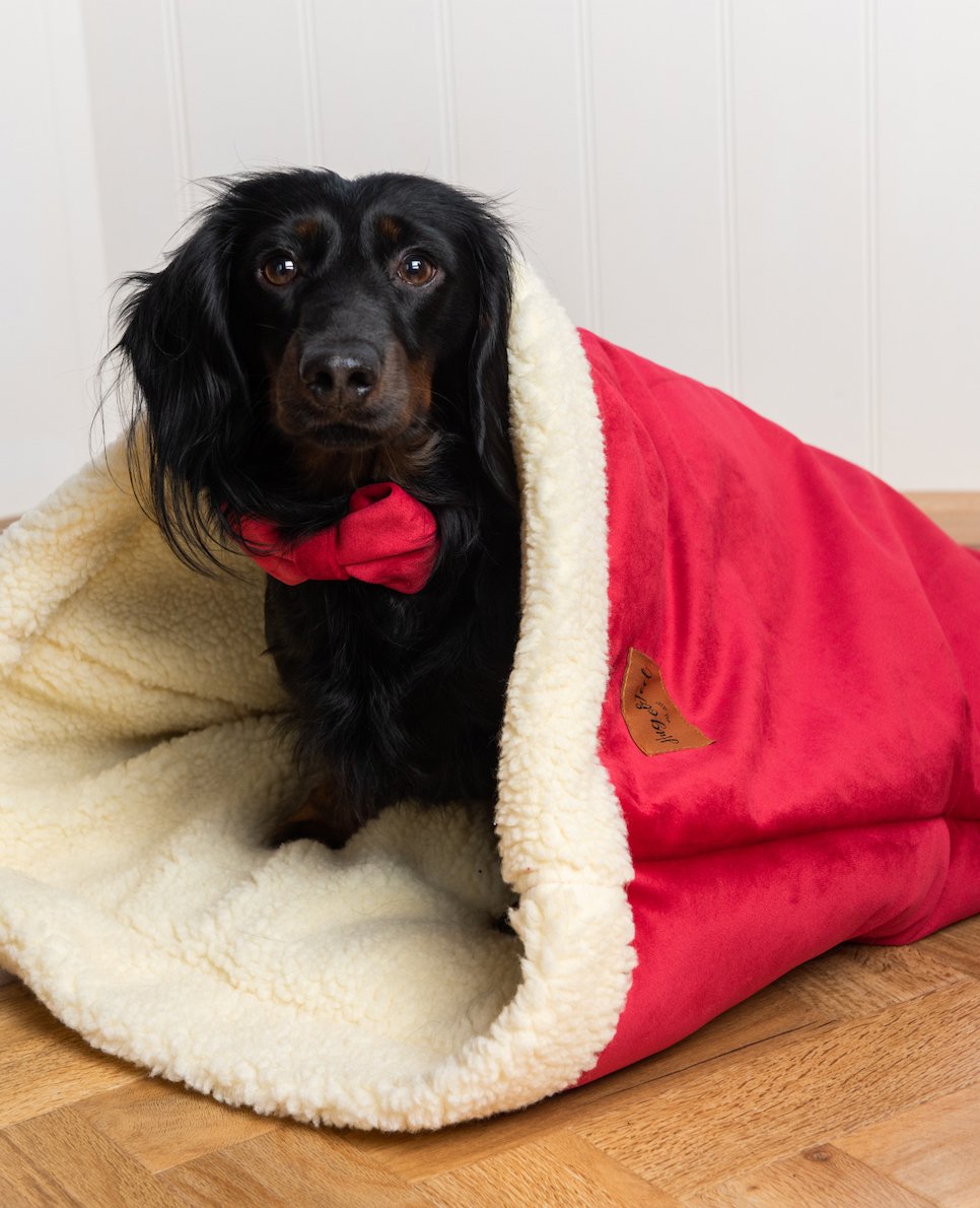 Luxury Velvet Christmas Snuggle Sacks - Hugo and Ted