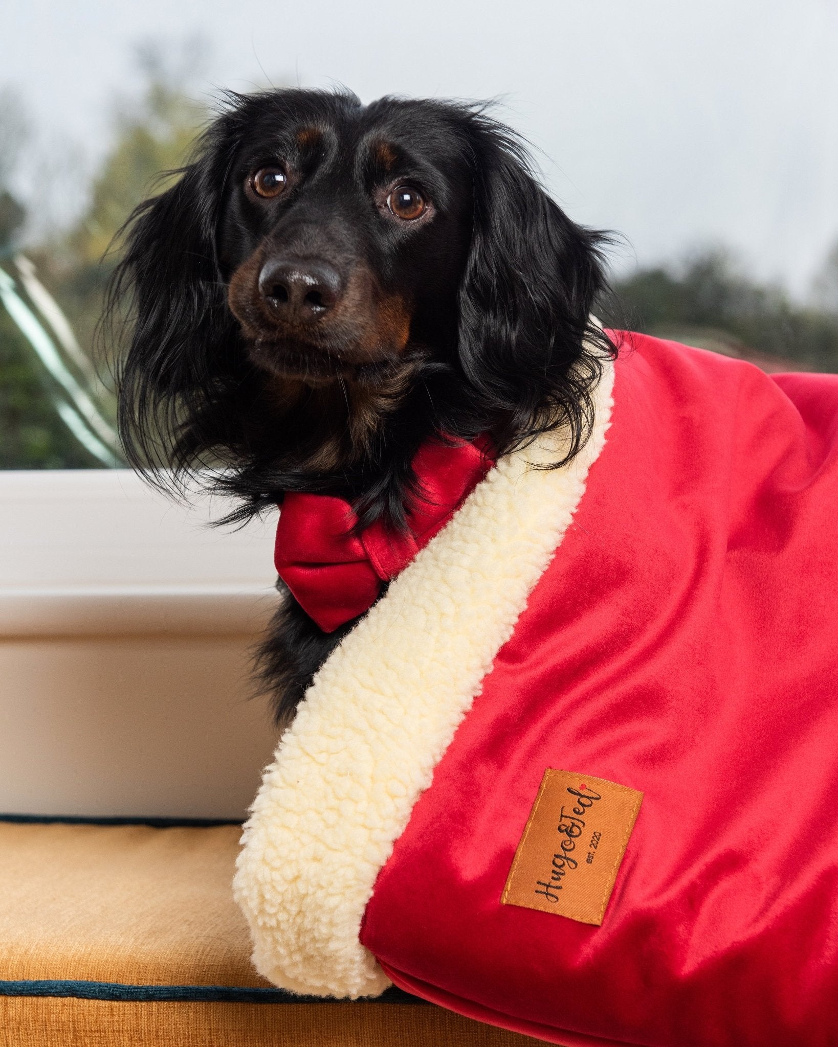 Luxury Velvet Christmas Snuggle Sacks - Hugo and Ted