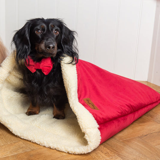 Luxury Velvet Christmas Snuggle Sacks - Hugo and Ted