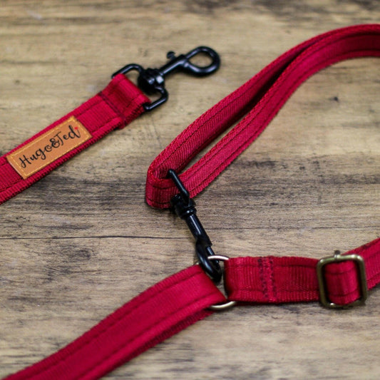 Multi-Way Waterproof Leads - Hugo and Ted