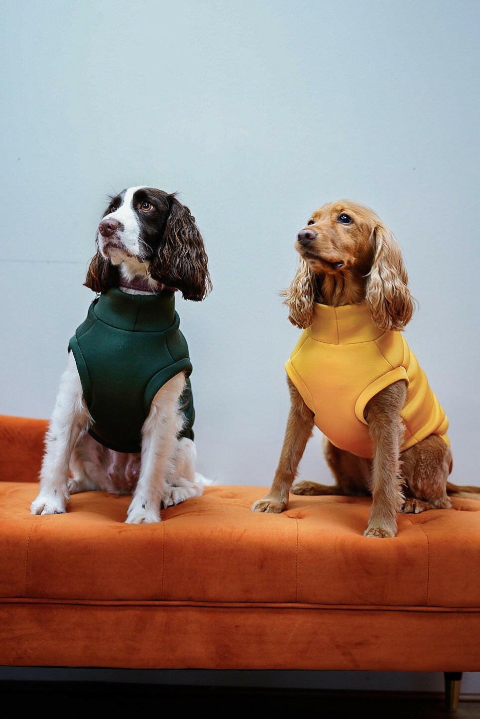 Neoprene Dog Coats - Hugo and Ted