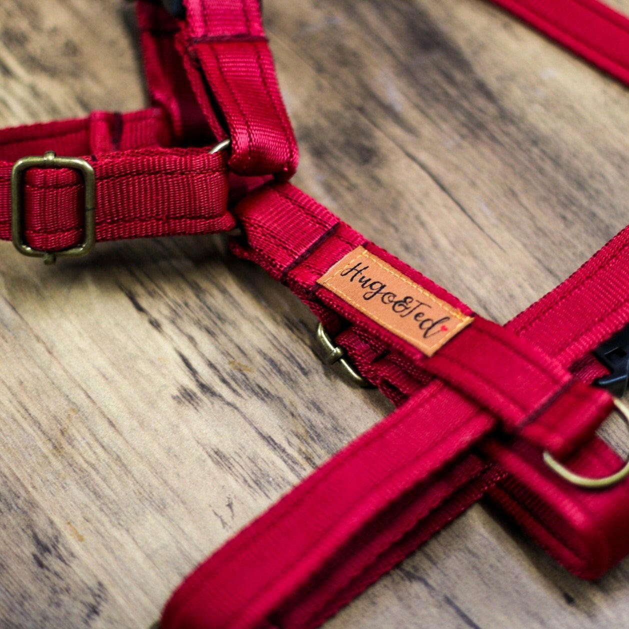 Padded, Strap Harnesses - Hugo and Ted