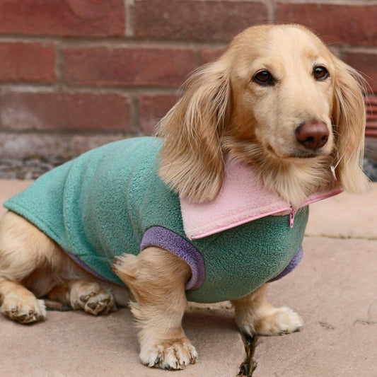 Pastel Harlequin 1/4 Zip Fleece Snuggle Jumpers - Hugo and Ted