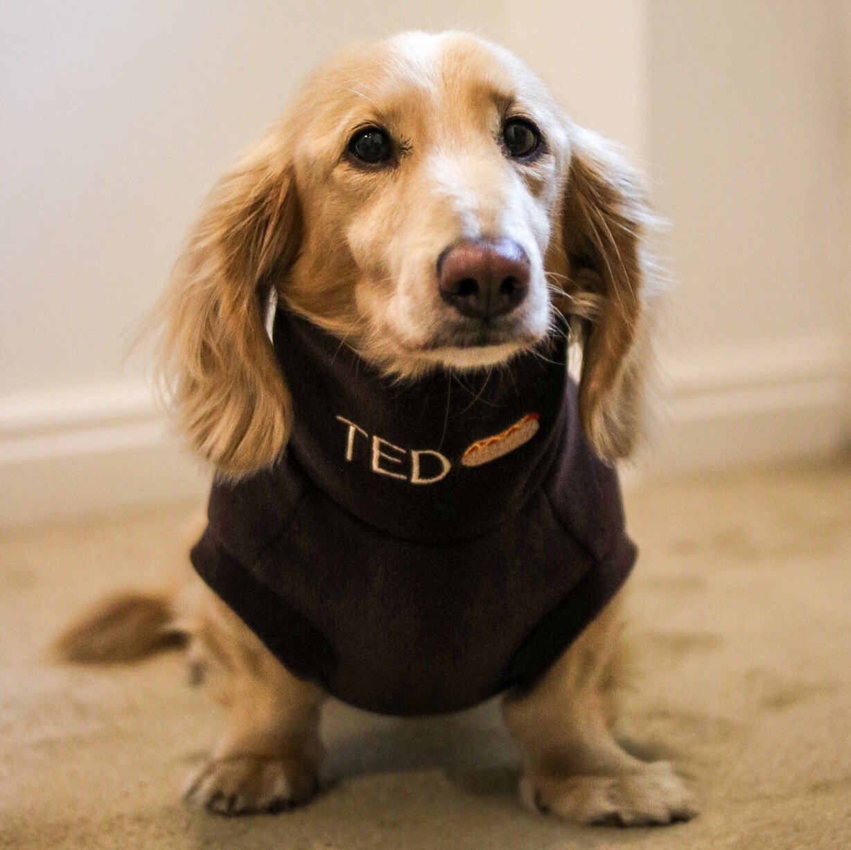 Personalised Fleece Snuggle Jumpers - Hugo and Ted