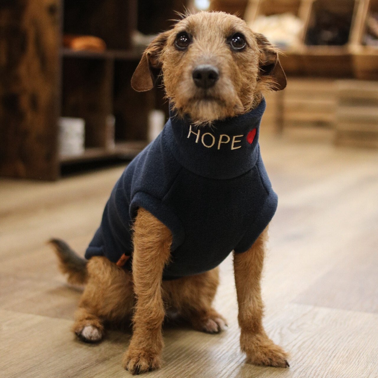 Personalised Fleece Snuggle Jumpers - Hugo and Ted