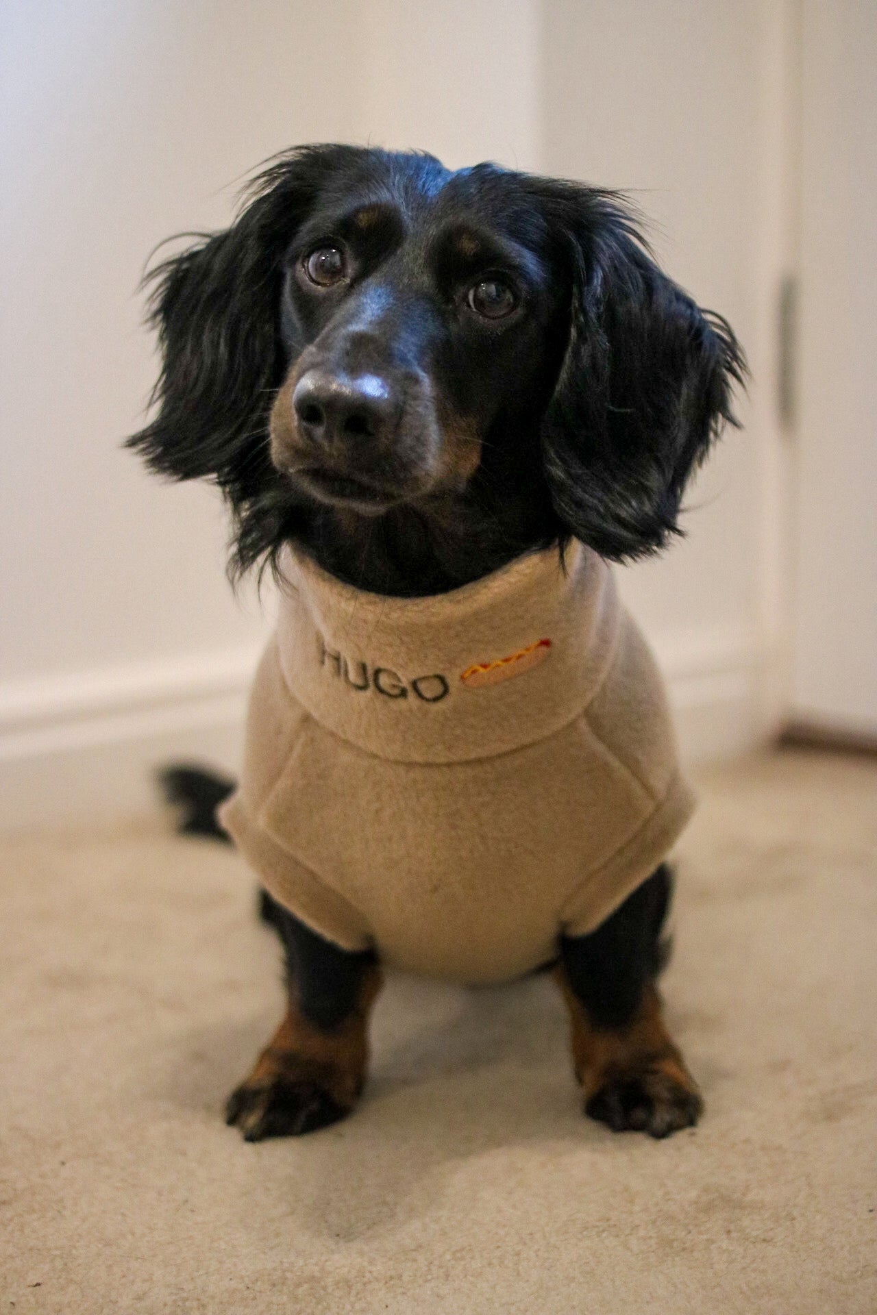 Personalised Fleece Snuggle Jumpers - Hugo and Ted