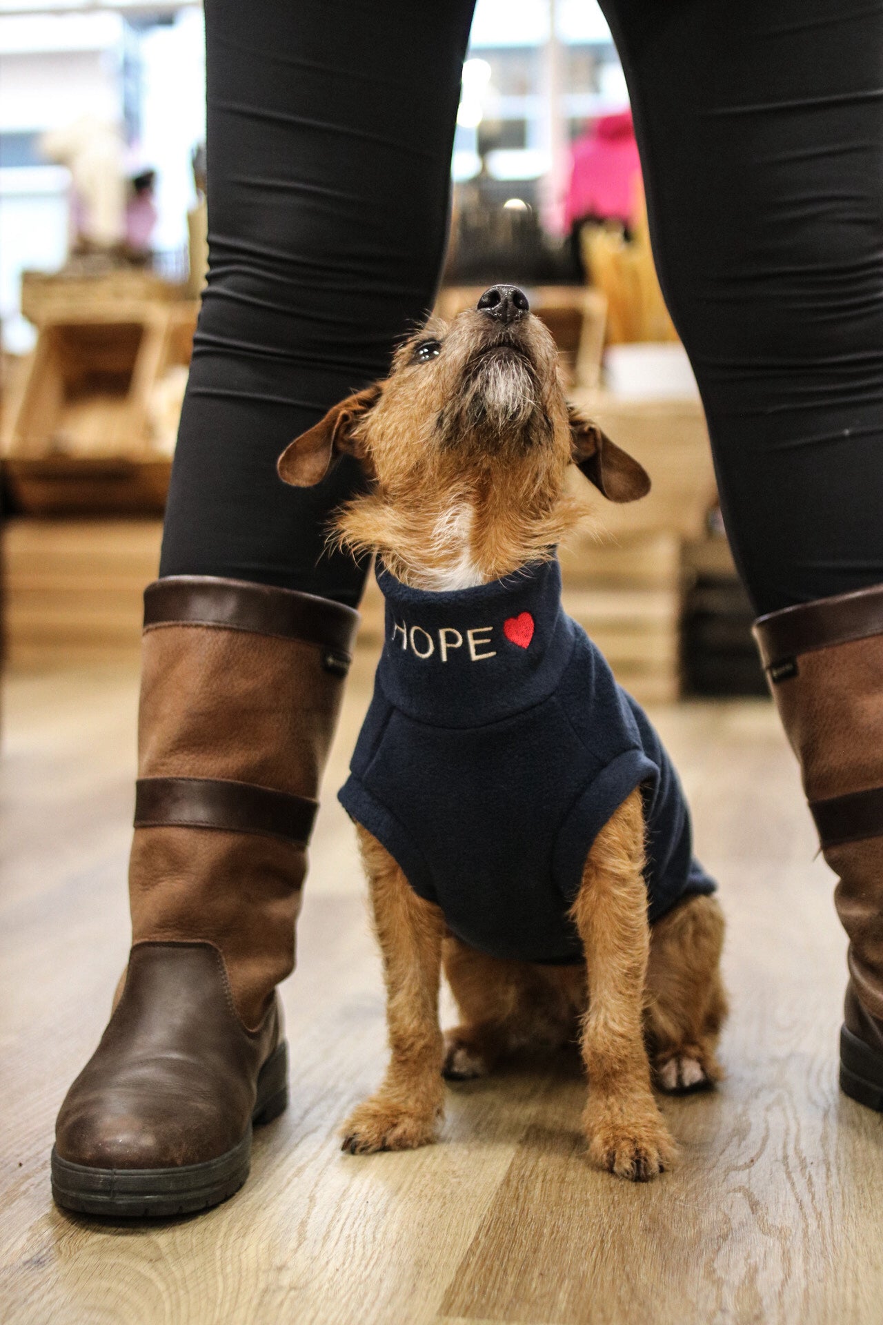 Personalised Fleece Snuggle Jumpers - Hugo and Ted