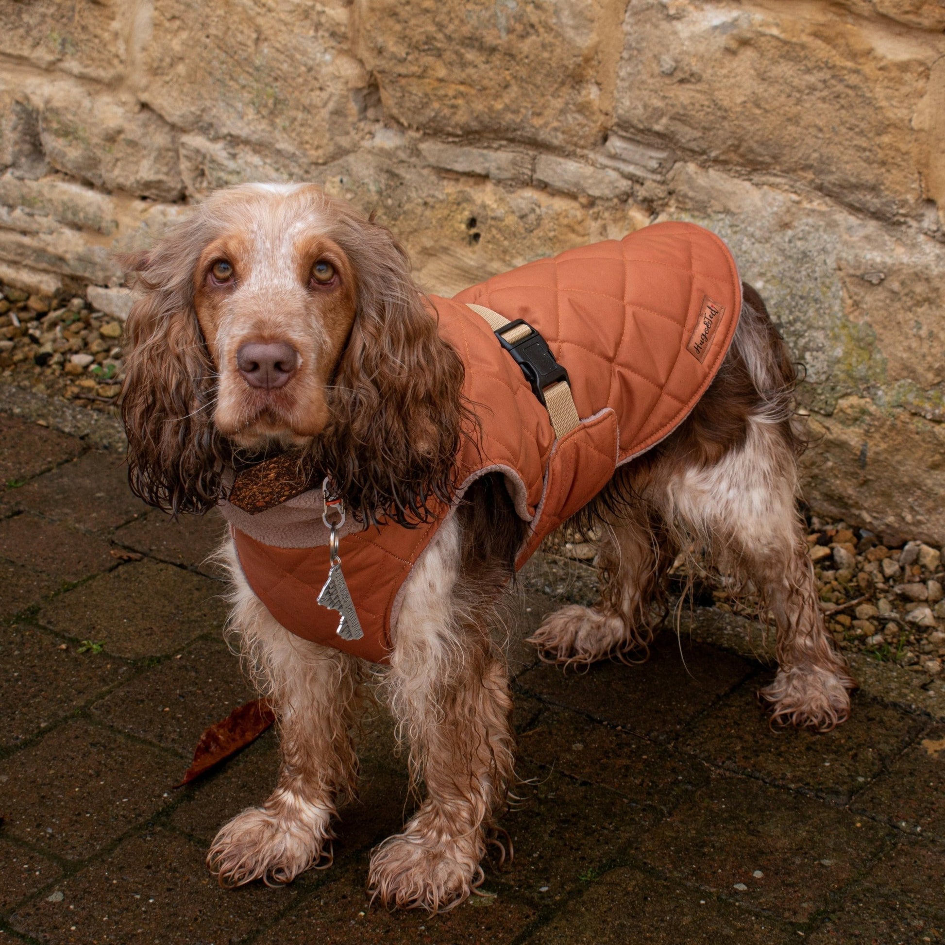 Quilted Ultimate Walkies Waterproof Coat - Hugo and Ted